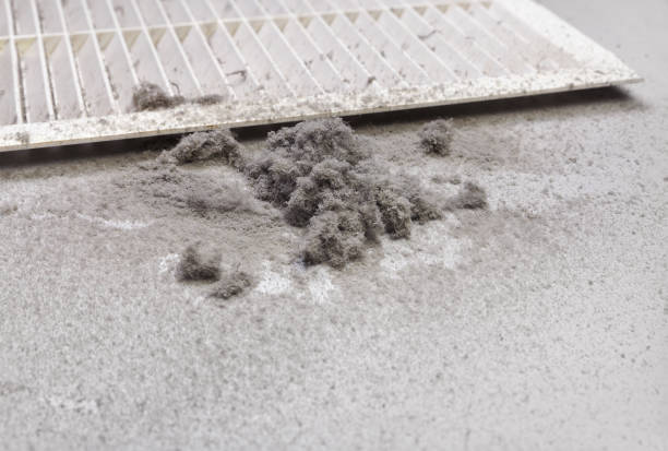 Best Emergency Air Duct Cleaning  in Trucksville, PA