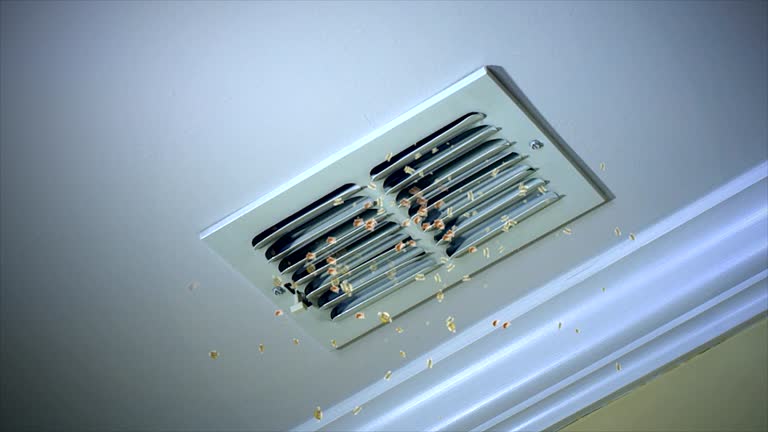 Best Commercial Air Duct Cleaning  in Trucksville, PA