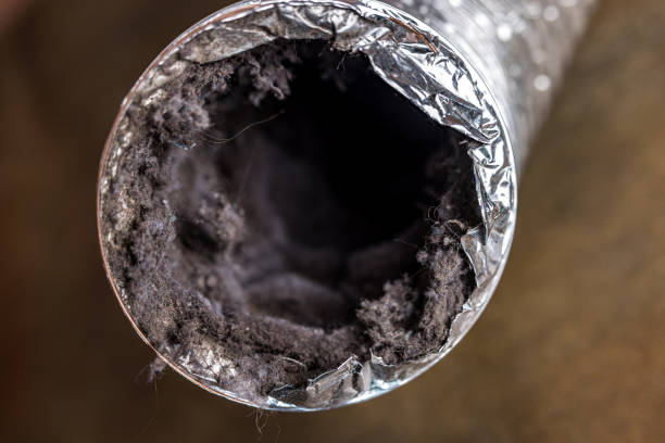Best Residential Air Duct Cleaning  in Trucksville, PA